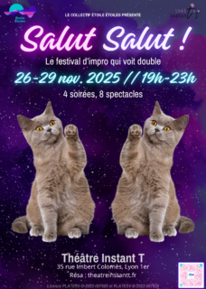 affiche gobale du festival étoile étoiles avec deux chats