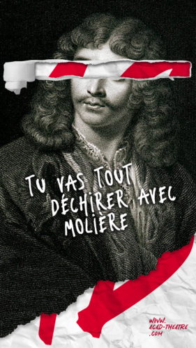 Molière avec le texte "tu vas tout déchirer avrec Molière"